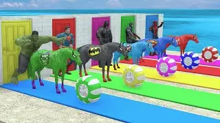 Red Horse Spiderman Crossing On Shark Bridge Spiders With Rainbow Horse Rescue Baby Animals Game