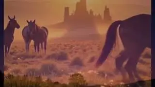 Gonna get western