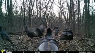 2020 Video Contest - Tony Naylor, Illinois