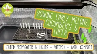 Sowing Early Melons, Cucumbers, Luffas In The  Vitopod  | Heated Propagator & Lights 🌿🍈💡🇬🇧