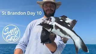 St Brandon IDS Day 10