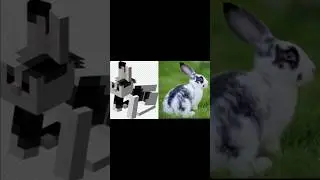 #minecraft all types rabbits in real life #