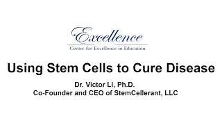 Using Stem Cells to Cure Disease
