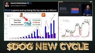$DOG Enters New Cycle ♻️ with Whale Accumulation 🐋