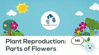 Science with BlueTree! | Plant Reproduction: Parts of Flowers | How Fertilization Occurs In Plants