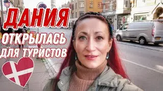 ДАНИЯ 🇩🇰 Октябрь в Копенгагене. Что попробовать в Копенгагене. Копенгаген готов к туристам