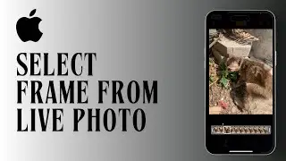 How to Select A Frame from Live Photo on iPhone