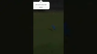 Rohit sharma taken 2catch against scotland in RC24 || #viral #rohitsharma #realcricket24 #shorts