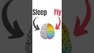 How Birds can Sleep while Flying
