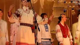 Ensemble Gramnitsy_U luze kalina