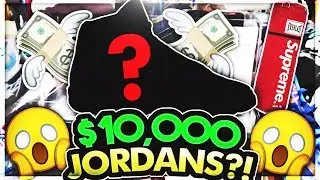 $10,000 JORDANS AND SUPREME PUNCHING BAG!? (EXTREMELY RARE)