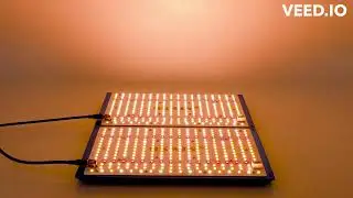 Фито свет в ваши гроу румы/Phyto light in your grow rooms