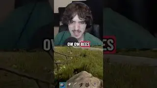 I Got Chased By BEES IN RUST&hellip; 😭 #rustgame #shorts #rust
