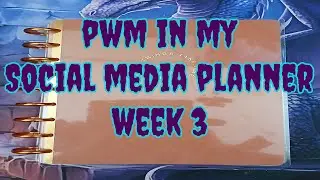 Plan With Me Week 3 2026 Social Media Planner | Planner Envy Stickers