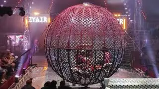 Zyair Circus