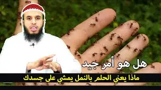 ماذا يعني الحلم بالنمل يمشي على جسدك .
