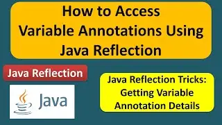 How to Access Variable Annotations Using Java Reflection? | Reflection in java