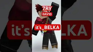 7RY DAVID ITS_BELKA