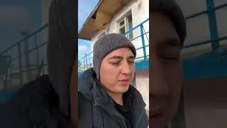 Решительный или упертый?