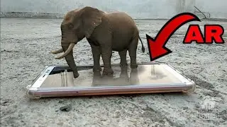 ZOO AT YOUR HOME | AUGMENTED REALITY | AR WILDLIFE