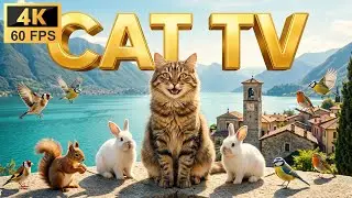 Cat TV 8 Hours - Italian Lake Como: White Bunnies, Red Birds & Village View