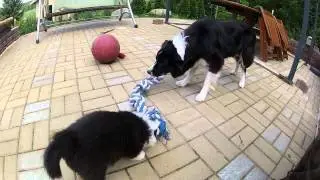 Elmo ja Nala naru 20140530