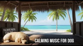 12 hours of Deep Relaxation Music for Dogs : Calming Sounds to Soothe Anxiety and Encourage Sleep 🛌