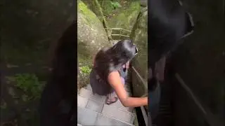 Edakkal Caves Wayanad #edakkalcaves #cave #wayanad