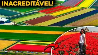 CONHEÇA A MAIOR FAZENDA DE FLORES DO BRASIL E DO MUNDO - INCRÍVEL!