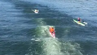 Surfing the Sternwheeler