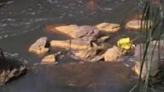 Residents suffering severe health effects of decades of gold mining