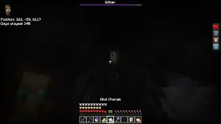 The bedrock wither is a silly guy 🤪