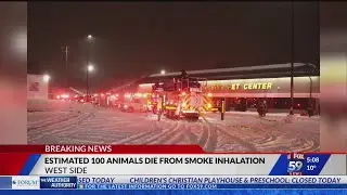100 animals killed in fire at west side pet store