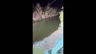 Jose Wright Live Stream