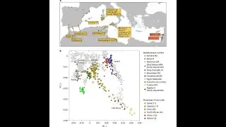 Ancient Carthaginians' Ethnic Origins REVEALED