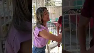 El papá y el tío universal embarazaron a mi hermana