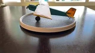 curtiss robin final display