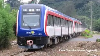 Trenes del INCOFER en Romería 2022 Peregrinación Virgen de Los Ángeles - Trenes CRRC - Costa Rica