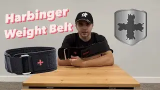 THIS BELT IS CLEAN! | Harbinger Nylon Weight Lifting Belt 4