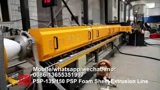 PS GPPS Foam food box machine/PS food container machinery manufacture