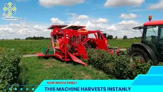 SUPER ADVANCED ! Super Fast Fruit Picking Machine - Harvester