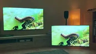 Sony A8H 65&ldquo; vs Sony X950H 55&ldquo;