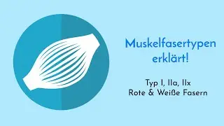 Physiologische Unterschiede der Muskelfasertypen (Typ I, IIa, IIx) - Wei&szlig;e und rote Fasern erkl&auml;rt