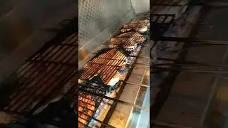 Fish Grilled🇹🇷 #food #chef #fish #balik #shorts#cupra