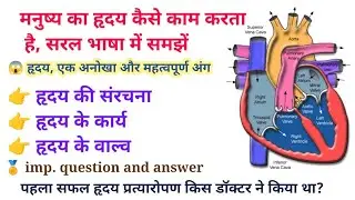 heart structure and function /heart system/ heart  structure and function in Hindi /heart function