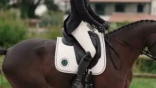 Je suis la Aachen. 🤍 La selle de dressage par excellence de la Maison Forestier.