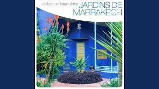 Paris/Marrakech