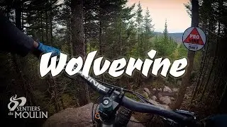 😲Quebec City Area Wolverine trail is GNARLY! | POV | Sentiers du Moulin