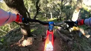 P🤫 Ridge/ Spicy Steep DH