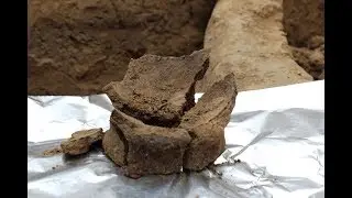 World's oldest wine found by scientists in Georgia